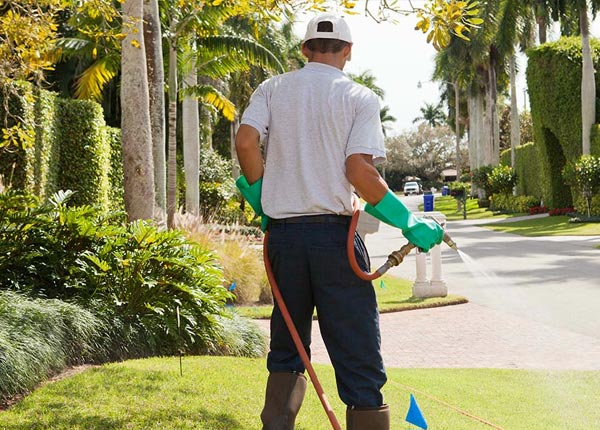 About New Sweden ME Pest Control Pros